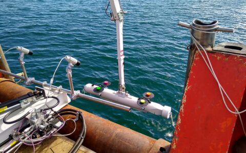 Photograph of Proteus 100 arm lifting an AUV out of the sea